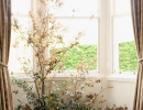Natural Window Installation