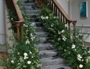 Netherbyres House Wild Staircase Installation